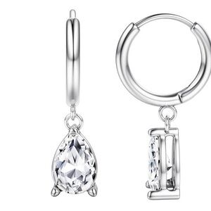 Stainless Steel Silver Drop Earrings